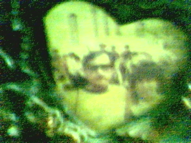 picture145.jpg